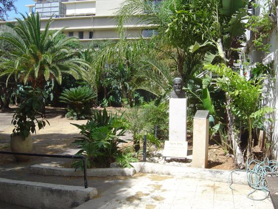 הגן בבית סוקולוב בתל אביב